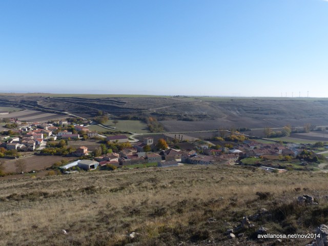 2014-11-20-avellanosa