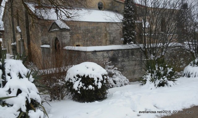 2015_02_08_nieve (4)